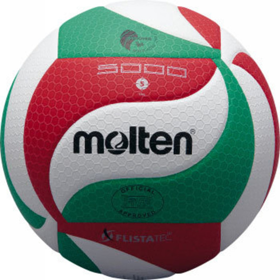 VolleyBall Ball Molten V5M5000