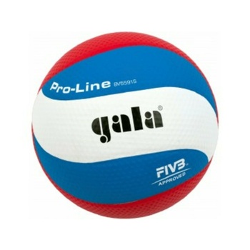 Volleyball Gala Ausbildung 10 platten, Gala